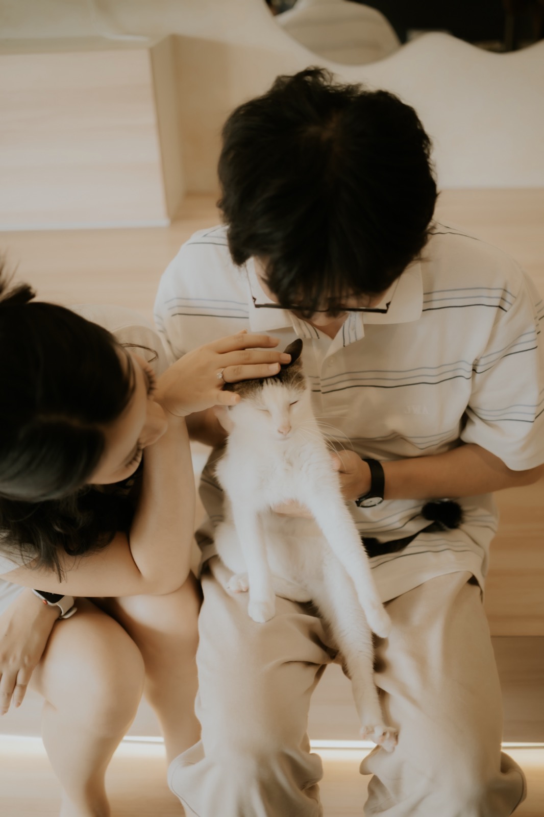 galeri 4